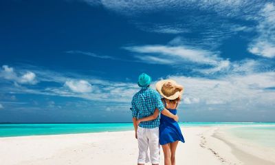 属兔的人在2019年是否适合养猪宝宝?哪个月份出生的猪宝宝最为理想?