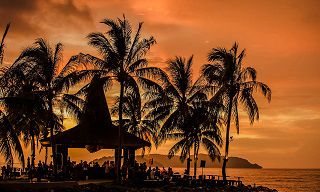 在2019年,哪个具体的时间点,男猪宝宝出生最为适宜和优秀?