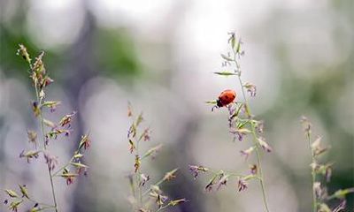 2023年正月初四即将到来,我们是否需要准备好迎接财神的到来?针对这个问题,接财神前需要做哪些准备工作呢?