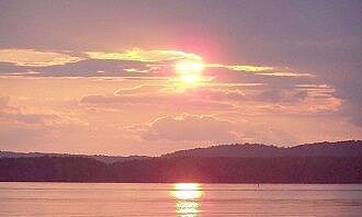 2018年12月生肖属猪的人,财运能否顺畅如意?