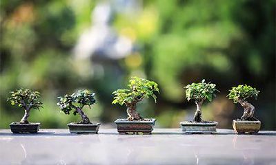 对2023年正月初四这一日期出生的属兔男孩进行全面命运分析,包括运势、性格、财富、职业等方面