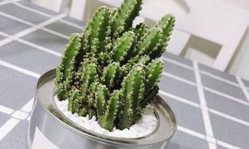 什么时候是2023年11月29日农历?是哪个星座季节?