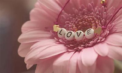 2023年大年初四是否适宜前往民政局婚姻登记?是否能在该日领取结婚证书?