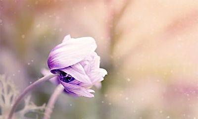 详细介绍2023年大年初四黄历的宜忌和时辰吉凶一览表