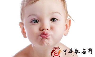 2018年属狗男孩取名推荐:带有新颖与文化内涵的完整男孩名字大全