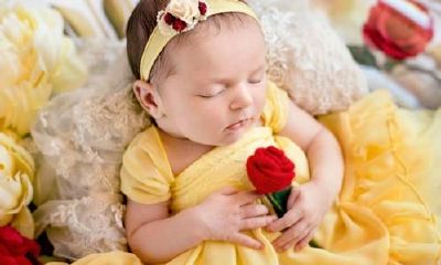 作为属鼠人,究竟何时怀孕最为适宜?2019年是否适合属鼠人怀孕?哪个月份是属鼠人最佳的怀孕时间?