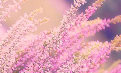 2023年正月初十装修盖房宜动土吗?今年正月装修盖房吉日推荐