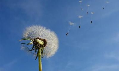 2022年农历腊月十八:是该接财神的时候了吗?迎接财神需要做哪些准备?