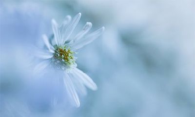 日,即2022年的壬寅年腊月十八,有何特殊的意义和庆祝方式?