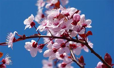 2023年大年初二黄历宜忌查询:这一天需要注意的事项和禁忌活动