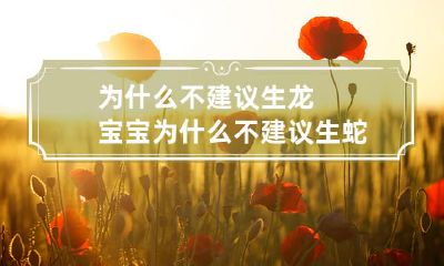 为什么我们不推荐繁殖蛇宝宝?