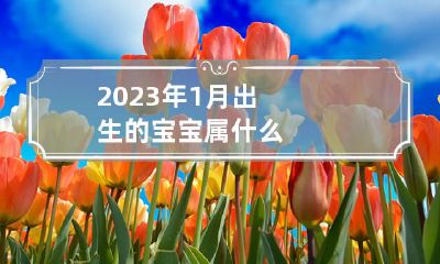 在2023年1月诞生的新生儿,其属相是什么?
