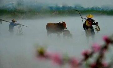 探究2023年12星座全年运势:对12星座的全年运势进行详细预测