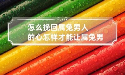 如何用正确的方法挽回属兔男人的心,以确保让他们重新爱上你并陷入狂热之中