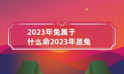 2023年是兔年,根据中国传统命理学,你如果出生于这一年可能会拥有什么命?