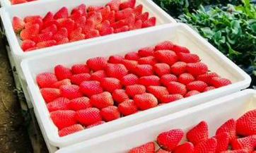 如何查询符合破土吉日的黄道日历:2023年3月选定开工日子