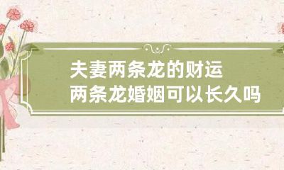 两条龙夫妻的财富继承:他们的婚姻能否长久繁荣?