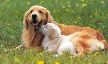 为准备婚姻生活,女性储备家庭财务的最佳金额是多少?常见的女性储备金数额是多少才恰当?