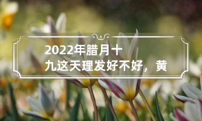 探讨2022年腊月十九日这天是否适合理发,以及黄历的准确性如何