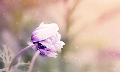 2022年腊月十五,是否是一个适宜结婚和领证的好时机?