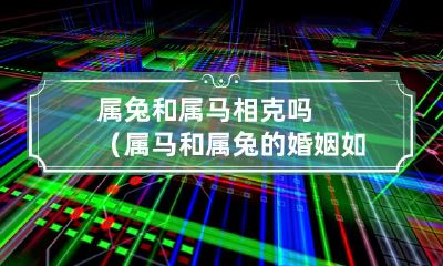 属兔和属马的性格矛盾是否导致婚姻不幸福?——探究属马与属兔的婚姻关系