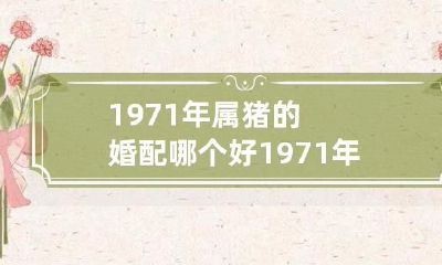 推荐及建议:1971年出生的属猪人适合与哪些星座的人进行婚姻配对?