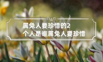 属兔人必须牢记的两位至关重要的人是谁?