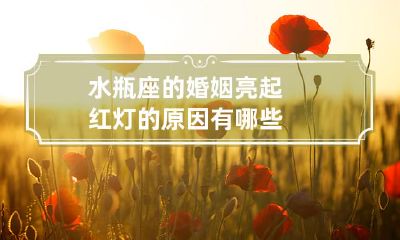 究竟是什么原因导致了水瓶座婚姻的红灯警报?