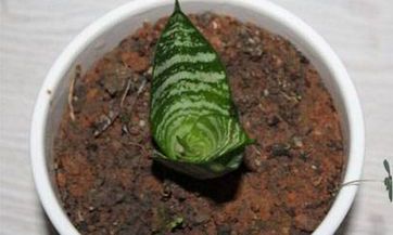 如何通过选购合适的厨房推拉门优化家居风水,为整个家装打造良好的风水环境?