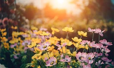 2023年春节期间诞生的婴儿的星座及其性格特点是怎样的?