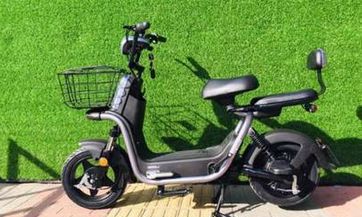 哪一层楼最适合属鼠人提升财运?探讨生肖属鼠的人应该选择何种楼层以达到最佳财运状态