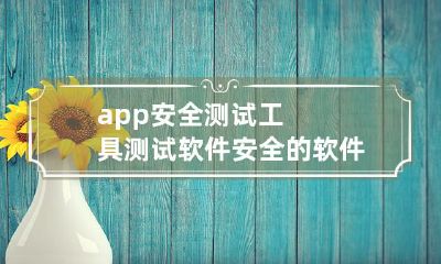 详解app安全测试工具:用于检测并确保软件安全的软件测试工具