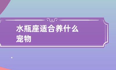 水瓶座的性格特点透露出养宠物的最佳选择:适合水瓶座的宠物类型是什么?