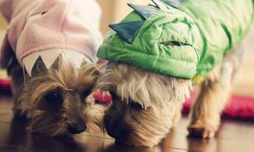 探究2023年5月适宜婚礼的吉日一览表:2023年5月哪些日期最适合嫁娶?