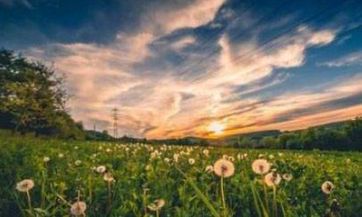 的人会属于什么生肖?根据中国农历的传统,53岁的年龄在哪个动物年份出生会决定他们的生肖符号,让我们来一探究竟!