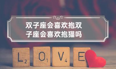 双子座是否倾向于将爱与抱在一起,包括猫咪在内?