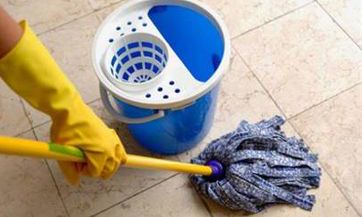 预示2023年学业正面开花的十二生肖