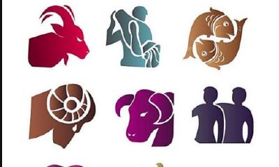 为何十二星座与你渐行渐远:深入探究星座特质与缘起,解析背离你的原因