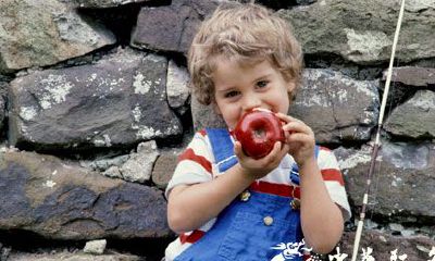 2018年最完整的土系男孩名字汇总,让你轻松选出不俗气的宝宝名字