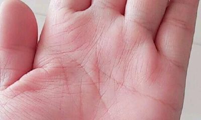 这类具有这种特定掌纹的人,在年轻时经历了艰辛劳碌,但在晚年却能够成功迈向人生巅峰