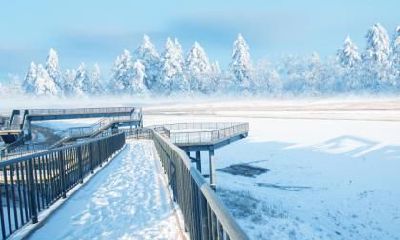 在大寒节气这一天出生的马年生肖者,他们将拥有怎样的命运?