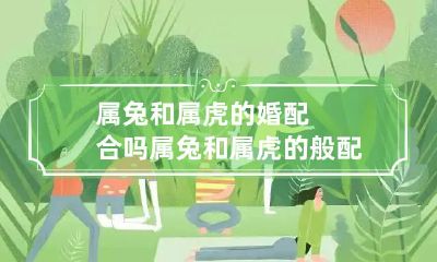 属兔与属虎能否成功匹配?考察属相相容性的属兔和属虎是否适合齐心协力走向幸福?