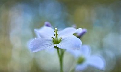 请问2022年春社日落在哪一天?春社日的传统习俗是什么?