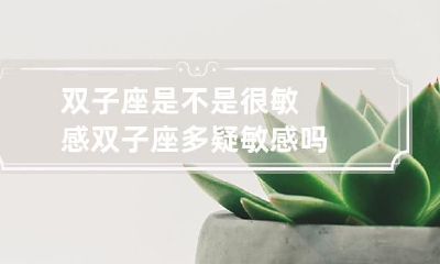 双子座:调皮好动还是多疑敏感的星座?