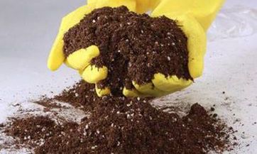 在2023年4月9日,我该查老黄历以了解哪些日期是偏忌的或吉祥的,并且究竟是星期几?