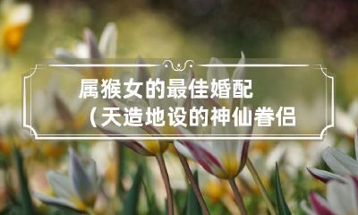 天赐神配的最佳婚姻对象——属猴女的完美伴侣选拔指南