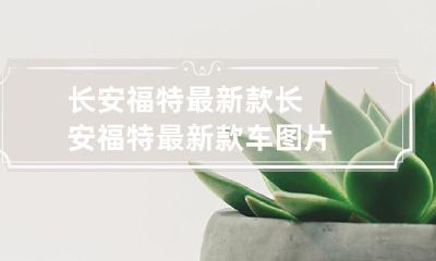 尽在眼前!长安福特全新款车型图片盛赞!