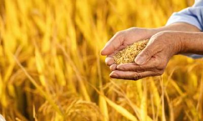 2021年芒种日子出生的缺陷男婴,想选一个象征美好吉祥的名字,应该使用哪些字呢?