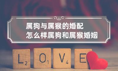 如何评价属狗和属猴的婚姻配对 狗年与猴年观察婚配趋势
