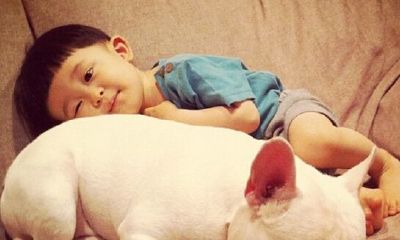 不同风格、多元文化涵盖的全面皮姓男孩起名攻略,灵感源源不断的绝佳命名参考!